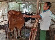 ខេត្ត Tra Vinh ប្រមូលធនធានដើម្បីកាត់បន្ថយភាពក្រីក្រ